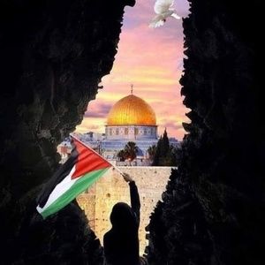 Meet your Posher, Roya